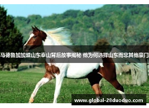 马德鲁加加盟山东泰山背后故事揭秘 他为何选择山东而非其他豪门 马德鲁加加盟山东泰山背后故事揭秘 他为何选择山东而非其他豪门