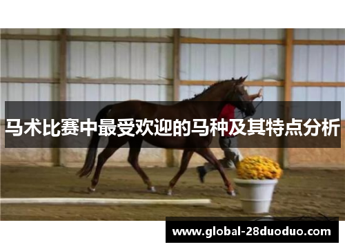 马术比赛中最受欢迎的马种及其特点分析 马术比赛中最受欢迎的马种及其特点分析