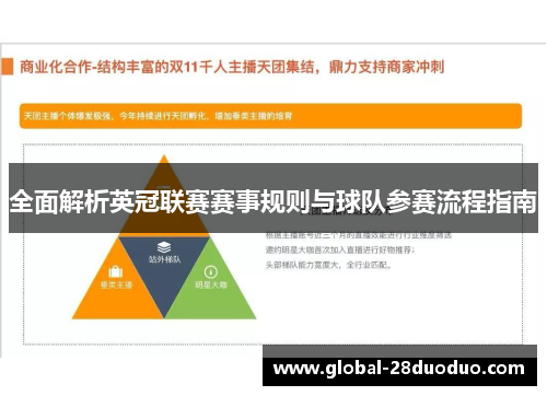 全面解析英冠联赛赛事规则与球队参赛流程指南