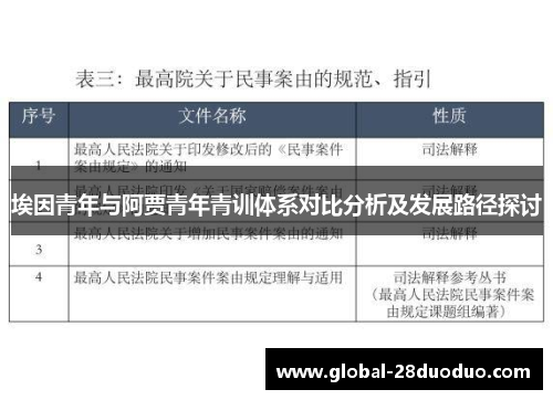 埃因青年与阿贾青年青训体系对比分析及发展路径探讨