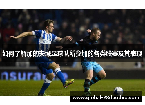 如何了解加的夫城足球队所参加的各类联赛及其表现